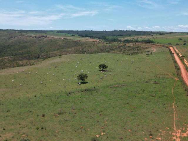 Fazenda na br 251 proxima ao posto arrenpendido na regiao palmital proxima de unai, com 700 hectares, sendo 50% plana para criação de gado beira do rio preto