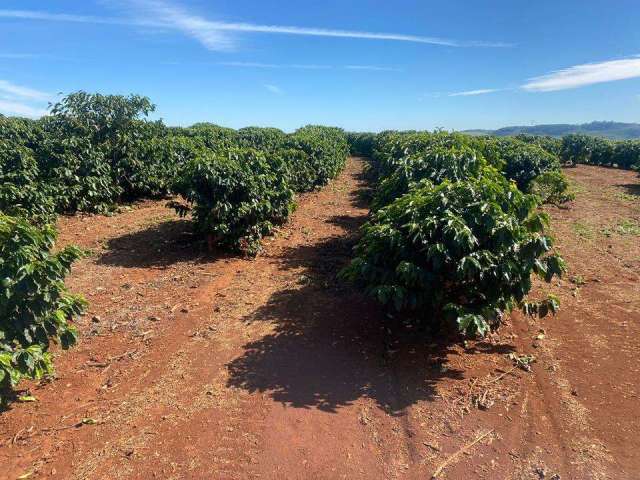 Fazenda  em São Sebastiao do Paraiso MG com 538,4 hectares dupla aptidão café soja e pecuária vendo a venda