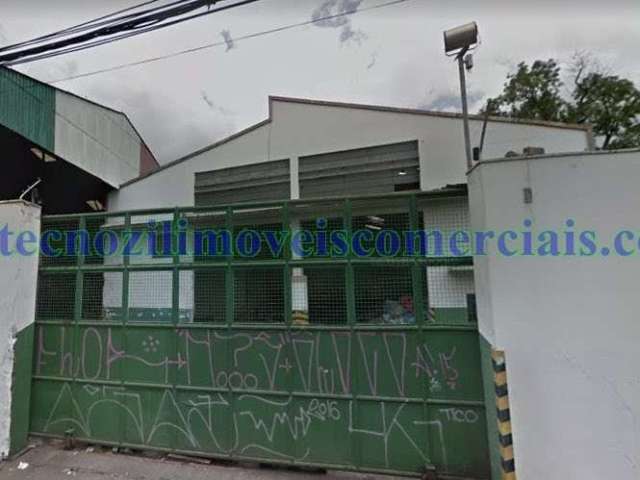 Galpão em Bairro do Limão  -  São Paulo