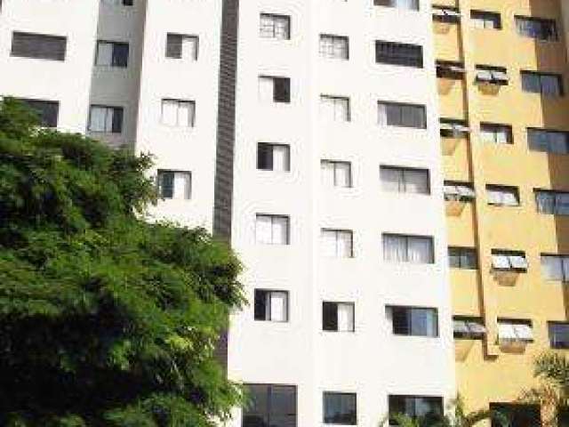 Residencial - Pq Sao Domingos