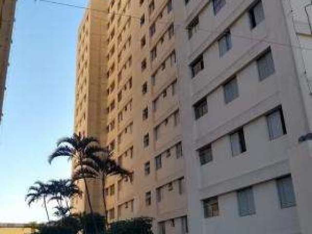 Residencial - Pirituba