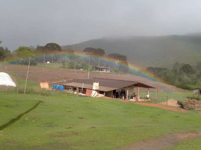 Sítio à venda, Estrada Principal Tronco Palermo, Mandirituba, PR