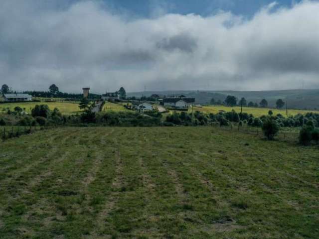 Chácara / sítio à venda na da Lage, 1, São Luiz do Purunã, Balsa Nova por R$ 2.300.000