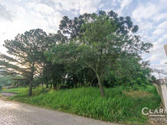 Terreno à venda na Rua Vereador João Augusto de Almeida Barbosa, Vila Otto, Campo Largo por R$ 480.000