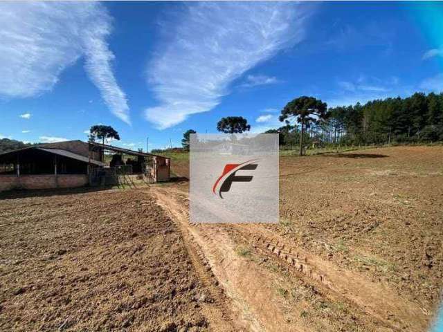 Chácara com 3 dormitórios à venda, 164318 m² por R$ 1.050.000,00 - Zona Rural - Tijucas do Sul/PR