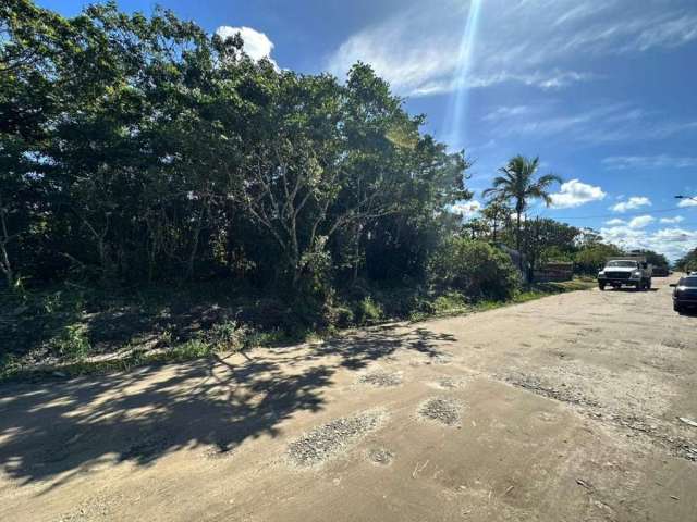 Terreno para Venda em Itanhaém, Balneário Gaivota