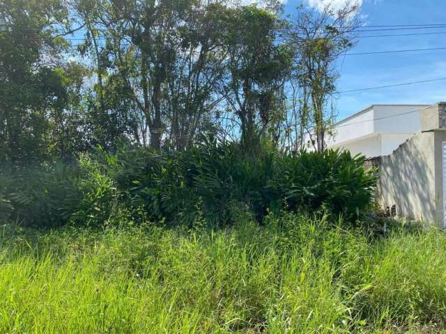 Terreno para Venda em Itanhaém, Jardim Luiza Mar Mirim