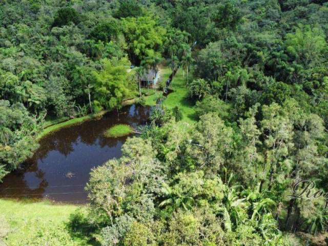 Chácara / sítio com 3 quartos à venda na ENDEREÇO NÃO INFORMADO, Barro Branco, Morretes, 36462 m2 por R$ 493.000