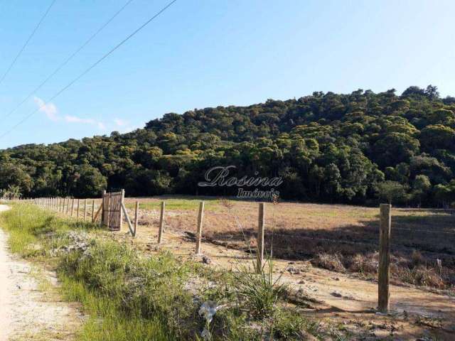 Terreno à venda na ENDEREÇO NÃO INFORMADO, Zona Rural, Antonina, 39159 m2 por R$ 250.000