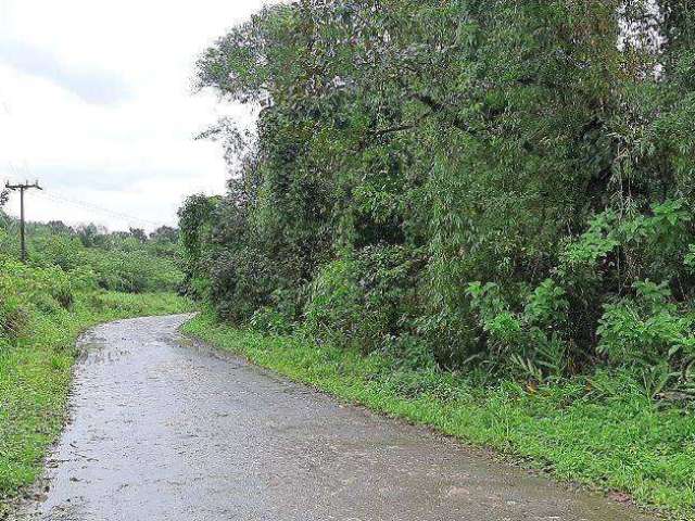 Terreno comercial à venda na ENDEREÇO NÃO INFORMADO, Braço da Figueira, Antonina, 2323200 m2 por R$ 1.000.000