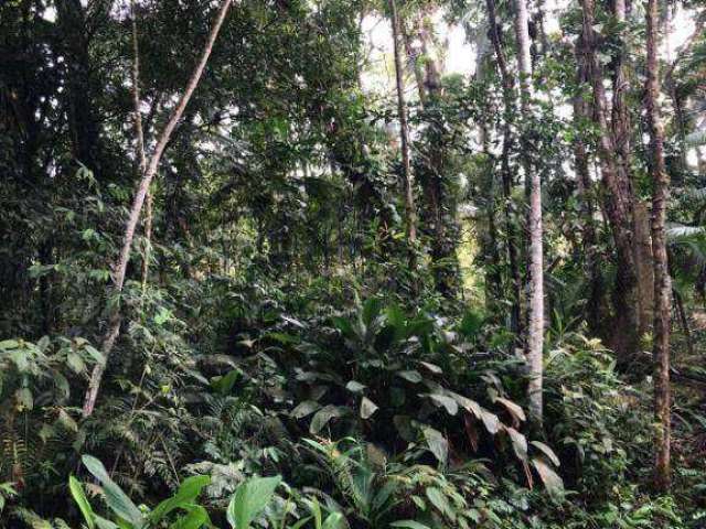 Terreno à venda na ENDEREÇO NÃO INFORMADO, Rio Sagrado, Morretes, 7388 m2 por R$ 75.000