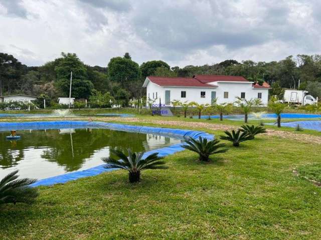 Chácara com estufa de morangos semi-hidropônica, alto sustentável e produtiva, com casas, piscina, placas solares 4 tanques peixe, aves, pomar frutas