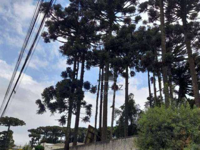 Terreno à venda, 2750 m² por R$ 1.500.000,00 - Boqueirão - Curitiba/PR