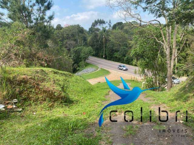 Terreno medindo 730m² ao lado da Rodovia BR 116 em Mandirituba