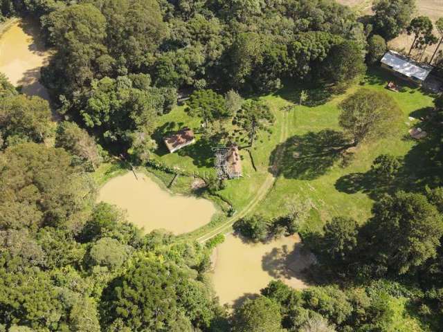 Chácara / sítio com 3 quartos à venda na Estrada para Roça Velha, Contenda, São José dos Pinhais por R$ 2.500.000