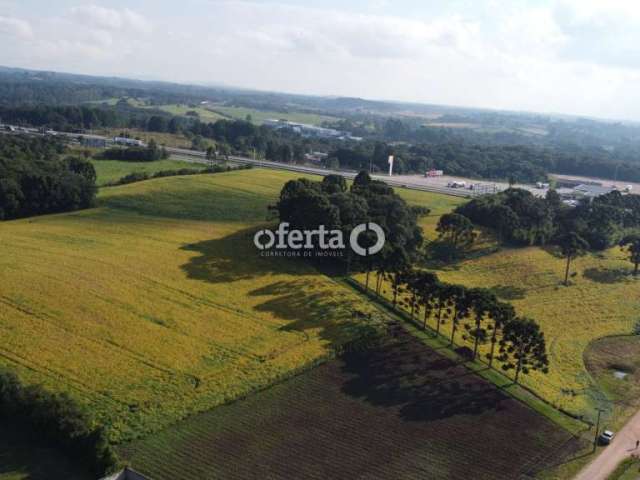 Terreno à venda no Campo Largo da Roseira, São José dos Pinhais  por R$ 11.000.000