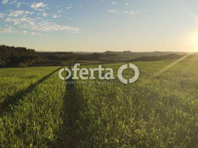 Fazenda à venda no Centro, Lapa  por R$ 5.500.000