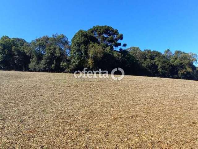 Terreno à venda em Taquarova, Araucária  por R$ 635.000