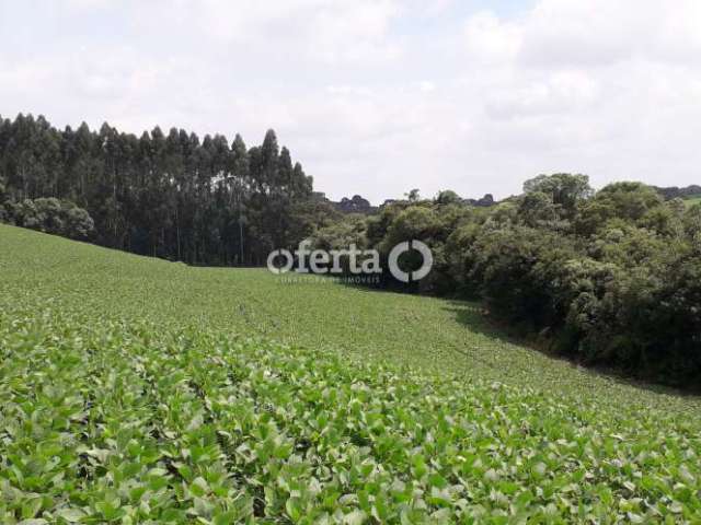 Chácara / sítio à venda em Campestre, Contenda  por R$ 489.000