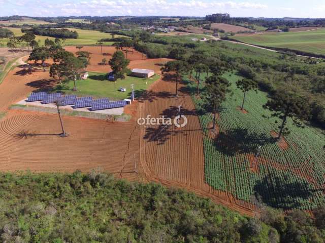 Chácara / sítio com 1 quarto à venda no Campo Redondo, Araucária , 120 m2 por R$ 2.400.000