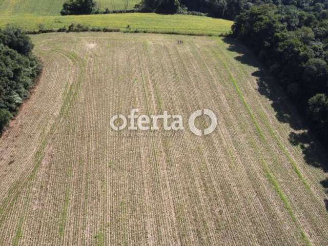 Chácara / sítio à venda em Campina das Pedras, Araucária  por R$ 550.000