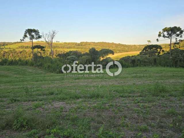 Fazenda à venda no Centro, Lapa  por R$ 3.700.000