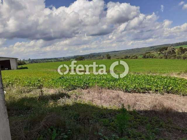 Chácara / sítio com 1 quarto à venda no Centro, Rio Negro  por R$ 2.250.000