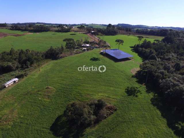 Fazenda à venda no Faxinal dos Castilhos, Lapa , 250 m2 por R$ 6.000.000