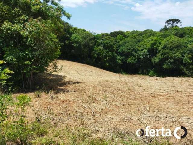 Chácara / sítio à venda no Rio Verde de Cima, Araucária  por R$ 500.000