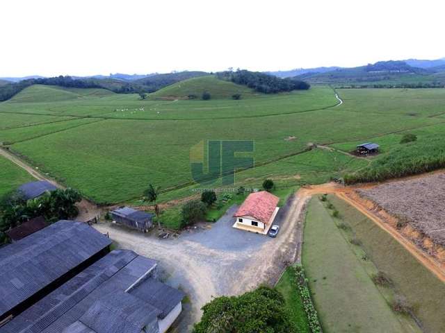 Fazenda para Venda no bairro Escalvado em Luiz Alves, 4 quartos sendo 1 suíte, 10 vagas, 1130000 m² de área total, 1130000 m² privativos,