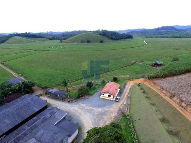 Fazenda para Venda no bairro Escalvado em Luiz Alves, 4 quartos sendo 1 suíte, 10 vagas, 1130000 m² de área total, 1130000 m² privativos,