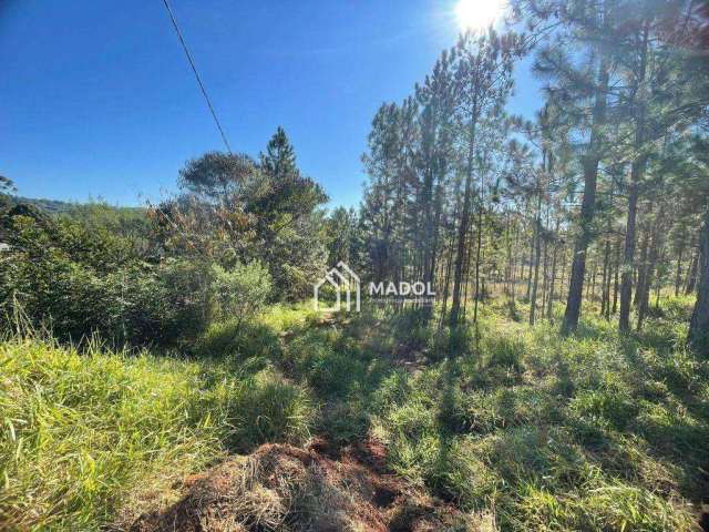 Terreno à venda, 360 m² por R$ 50.000 - Chapada - Ponta Grossa/PR