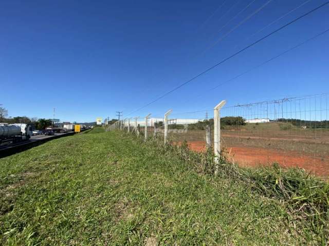 Terreno à venda na Nossa Senhora da Conceição, Balneário Piçarras , 217000 m2 por R$ 52.000.000