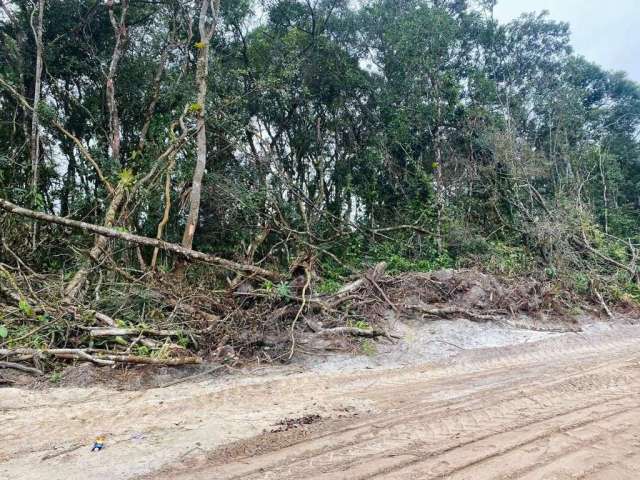 Terreno para Venda - Balneário Praia Grande, Matinhos - 390m²