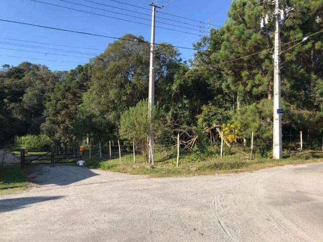 Terreno para Venda em São José Dos Pinhais, Dom Rodrigo