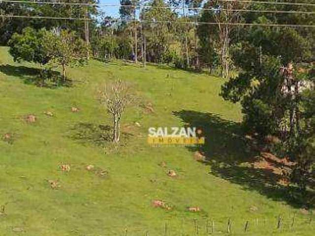 Terreno à venda, 20000 m² por R$ 250.000 - Zona Rural - Natividade da Serra/SP