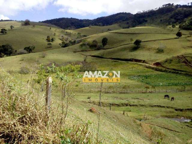 Área à venda, 350 m² por R$ 1.450.000,00 - Zona Rural - São Bento do Sapucaí/SP