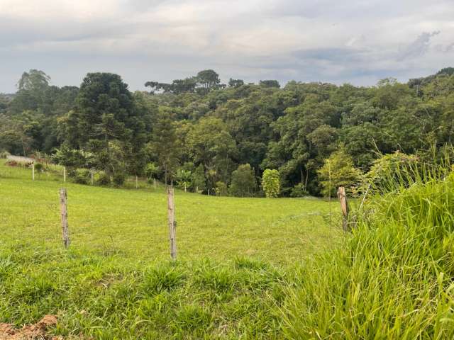 Terreno maravilhoso ao lado de Santa Felicidade  com 2017metros a menos de 2km de Curitiba