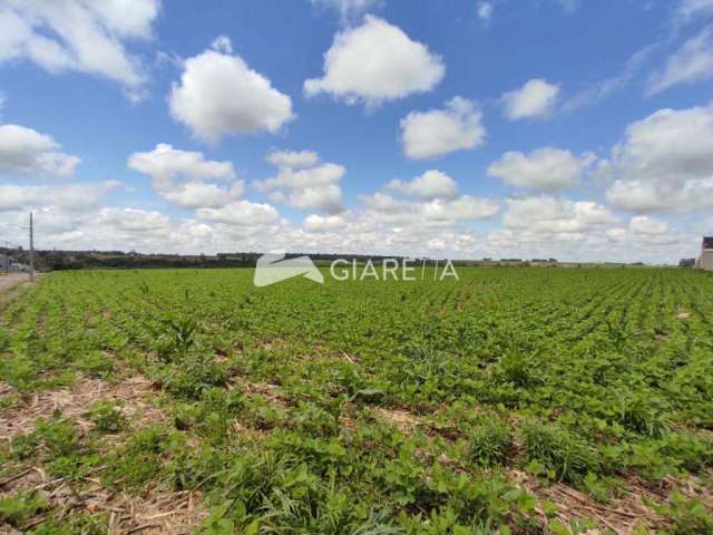 Terreno com excelente localização à venda, JARDIM TOCANTINS, TOLEDO - PR