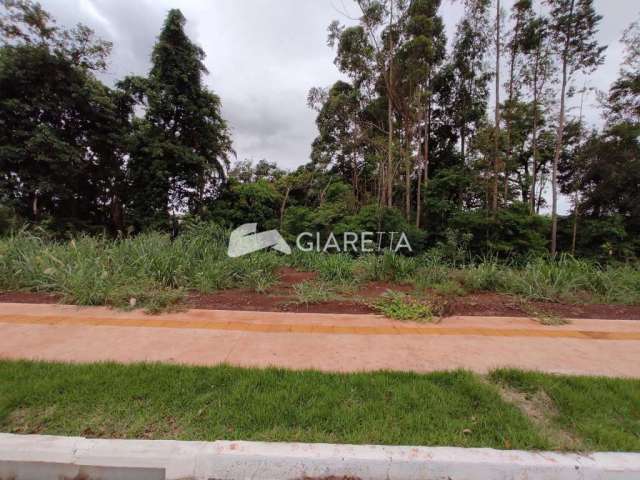 Terreno à venda, LOTEAMENTO DONA LEDA, VILA PIONEIRO, TOLEDO - PR