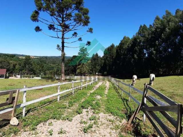 Chácara para Venda em Tijucas do Sul, Serra do Araçatuba, 2 dormitórios, 1 banheiro