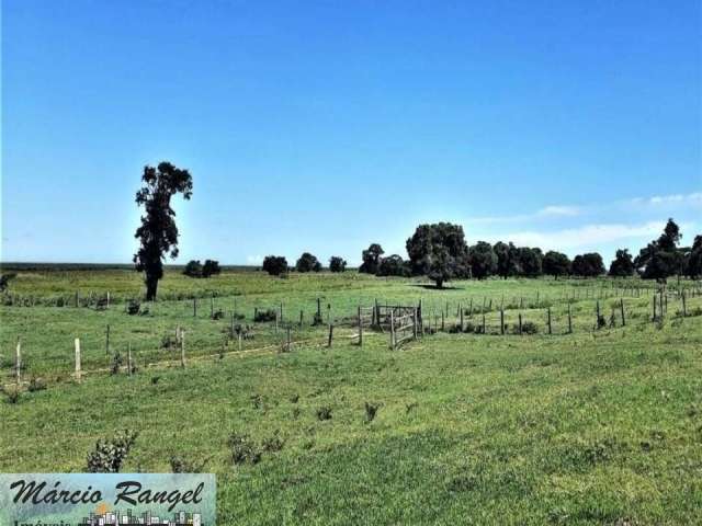 Fazenda 74 alqueires / gado, Dores de Macabu, Campos dos Goytacazes