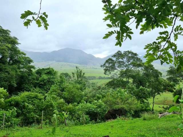 Rio Preto/Morangaba, Fazendinha excelente, com duas nascentes de água mineral, e topografia linda!