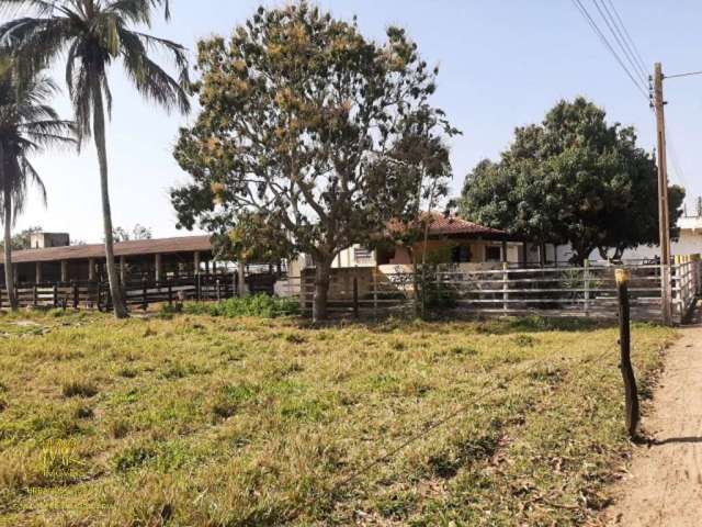 Fazenda em zona urbana do Distrito de Dores de Macabu