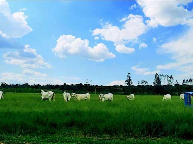 Fazenda Caraíva, Porto Seguro - BA