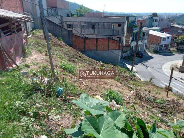 Terreno à venda, 800 m² por R$ 480.000,00 - Parque Primavera - Guarulhos/SP