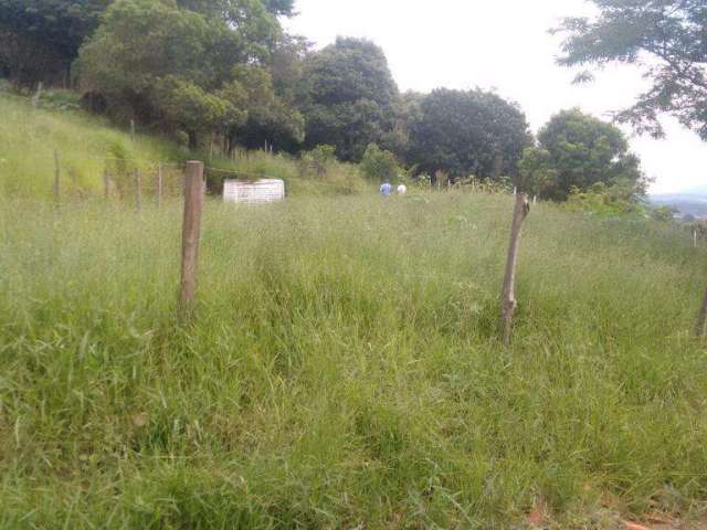 Terreno residencial à venda, no bairro  Morro Grande.