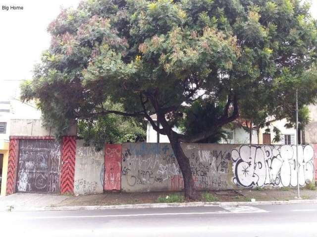 Terreno residencial para Venda na Vila Souza, ótima localização, ao lada da Avenida Inajar de Souza