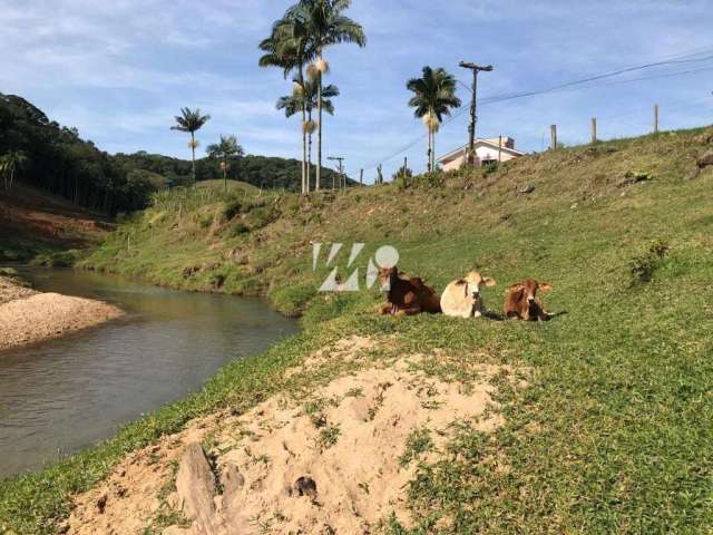 Terreno - Santo Amaro da Imperatriz