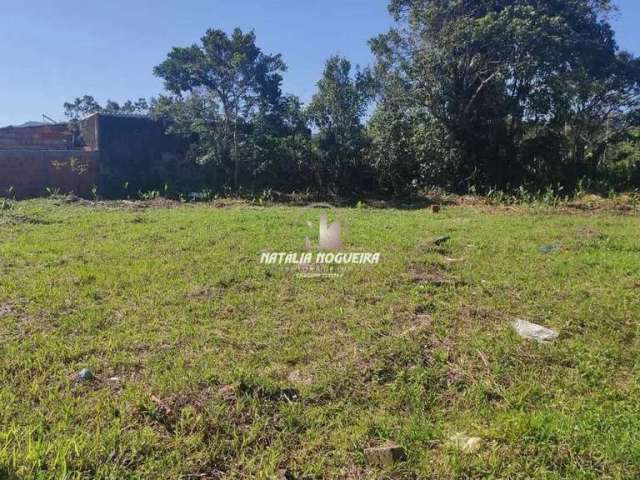 Terreno Baln. Itaguai Mongaguá R$ 38 mil Cod: 1310